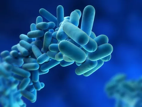 Acción del tratamiento de la legionella