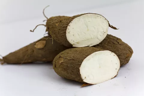 Qué es la yuca