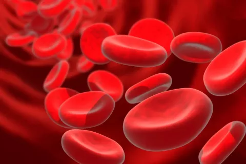 Anemia o disminución de la concentración de hemoglobina en la sangre