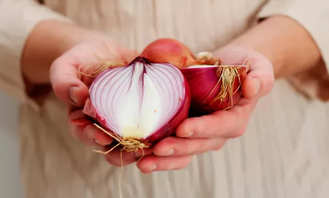 Características nutricionales de la cebolla