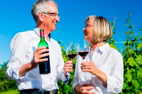 Pareja mayor tomando vino tinto