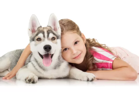 Una niña abraza a su cahorro de husky siberiano