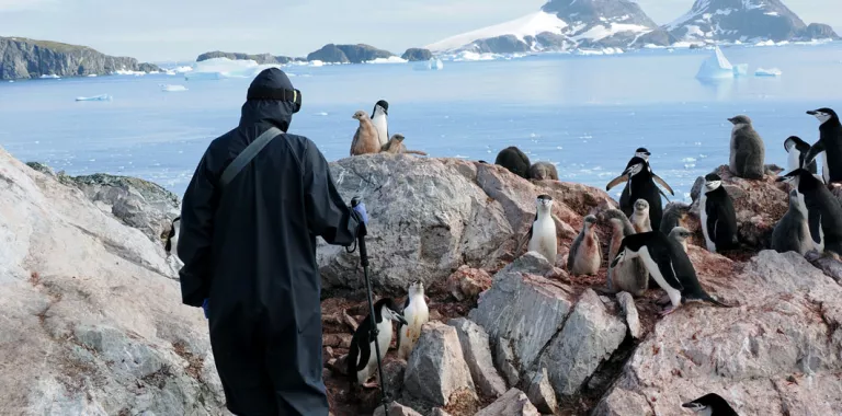 Científico protegido con EPI junto a pingüinos en la Antártida