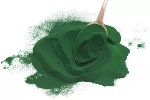 El alga spirulina, un superalimento según la OMS