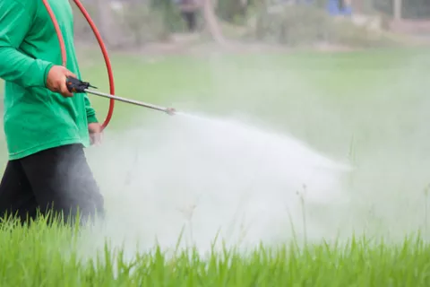 Granjero fumigando una plantación