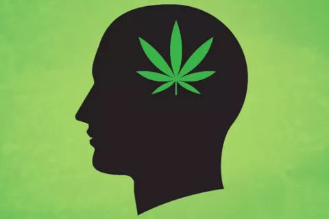 Incluso un bajo consumo de marihuana afecta al cerebro