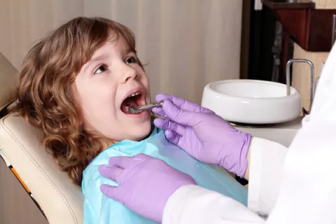 Descubren una bacteria que actúa contra la caries