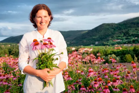 Mujer en el campo recogiendo flores de equinácea