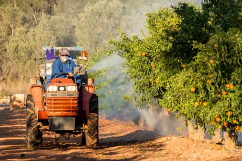 Asocian riesgo de alzhéimer con exposición a pesticidas