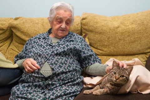 Una anciana sentada en un sofá acaricia a un gato