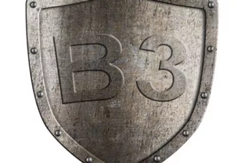 Escudo de vitamina B3 que ayuda al sistema inmune