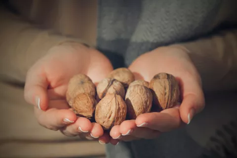 Comer nueces favorece un envejecimiento saludable