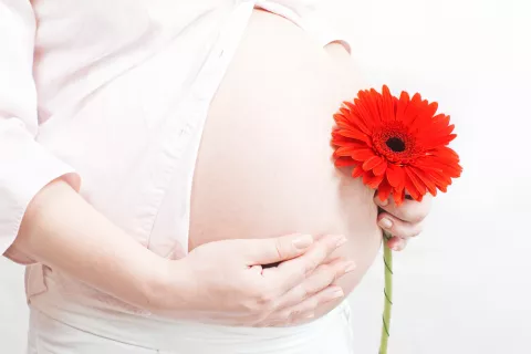 Mujer embarazada sosteniendo una flor