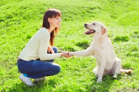 Donan perros adiestrados a víctimas de violencia de género