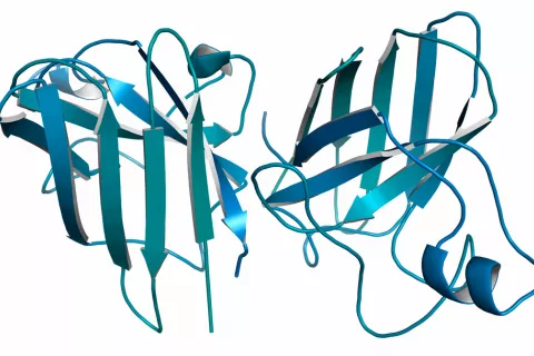 Identifican nuevos genes involucrados en la ELA