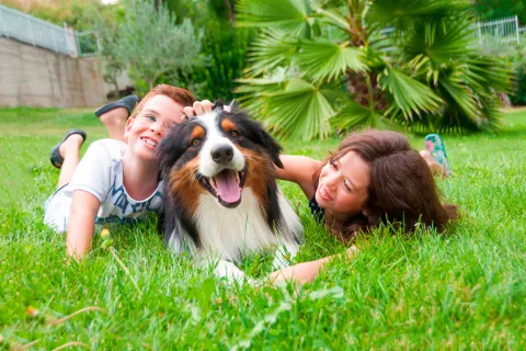 Niños jugando con su perro en el jardín