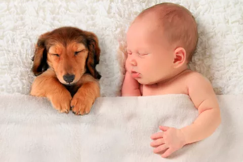 Bebé durmiendo junto a un perro