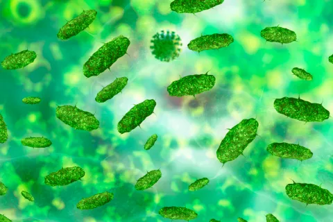 Las bacterias intestinales afectan a la salud mental