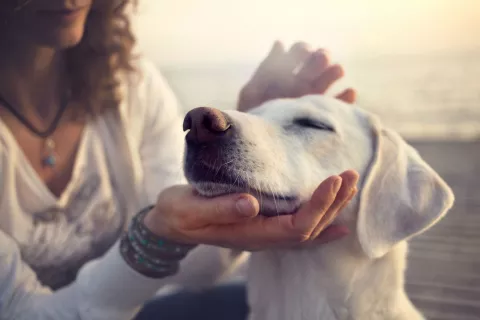 Una mujer acaricia a su perro, que se muestra complacido