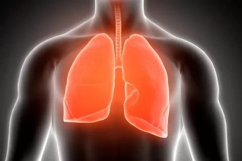 Imagen de los pulmones