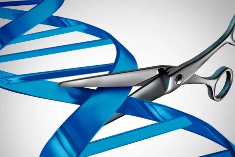 La técnica CRISPR, eficaz en el tratamiento de Duchenne