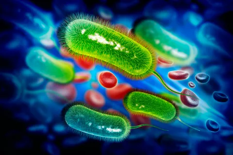 Superbacterias resistentes a los antibióticos