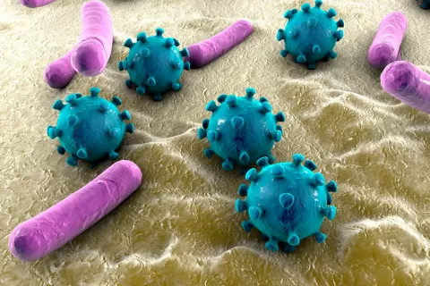 Bacterias intestinales