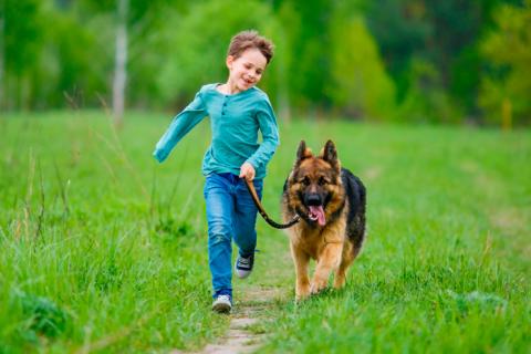 Niño corriendo con su perro por el campo