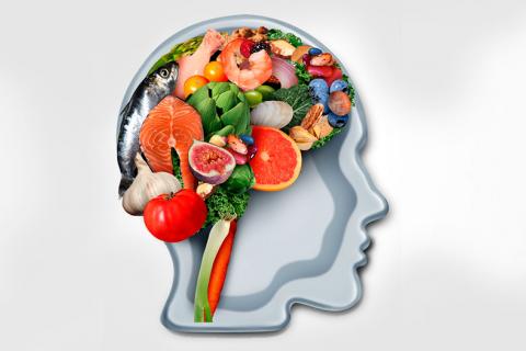 Ilustración de una cabeza con alimentos de la dieta mediterránea formando el cerebro