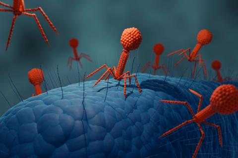 Ilustración 3D de bacteriófagos atancando a bacterias