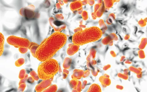 Bacterias multirresistentes Biofilm de bacterias Acinetobacter baumannii, el agente causal común de infecciones adquiridas por el hospital 3D