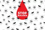 Día Mundial de la Malaria Malaria