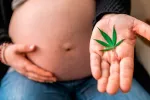 El cannabis al inicio del embarazo también afecta al desarrollo fetal Mujer embarazada mostrando una hoja de cannabis