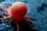 Ilustración 3D médicamente exacta de una célula cancerosa
