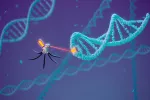 Crean microrobots blandos para ayudar a combatir la disfunción eréctil Ilustración conceptual de 'microrobots' interactuando con el ADS