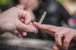 Consumo de cannabis entre adolescentes Manos de adolescentes pasándose un porro de marihuana en la calle