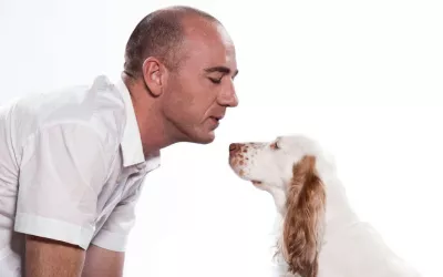 ¿Existe la telepatía canina? Un perro observa atentamente la cara de su amo