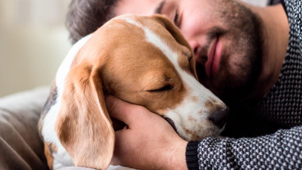 puedes acariciar al perro en aliento salvaje