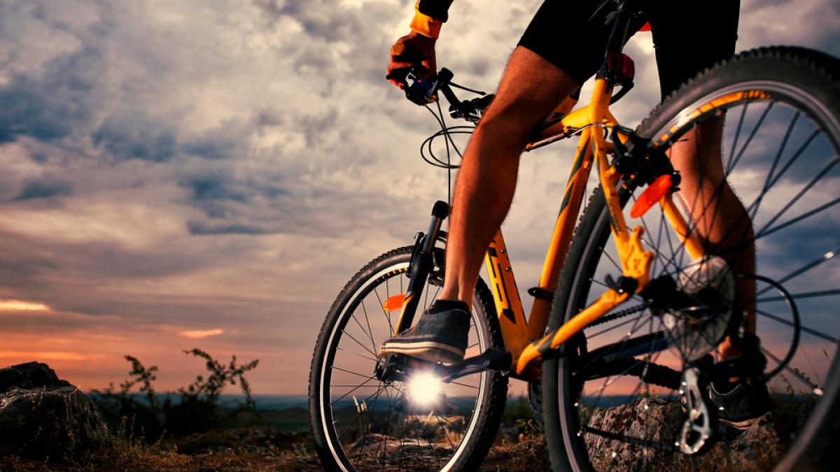 Consejos para elegir una bicicleta sin pedales - La Tercera